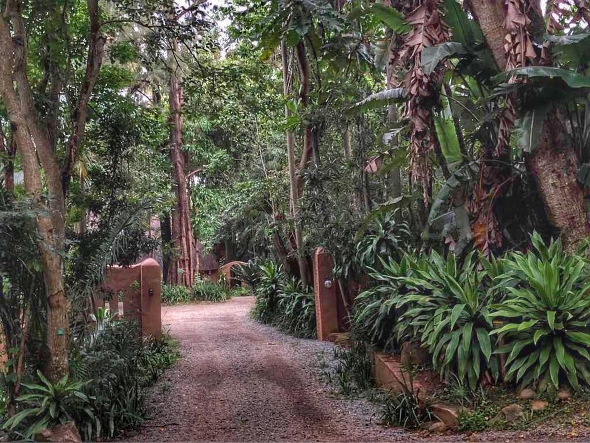 Phophonyane Falls Ecolodge Piggs Peak Extérieur photo